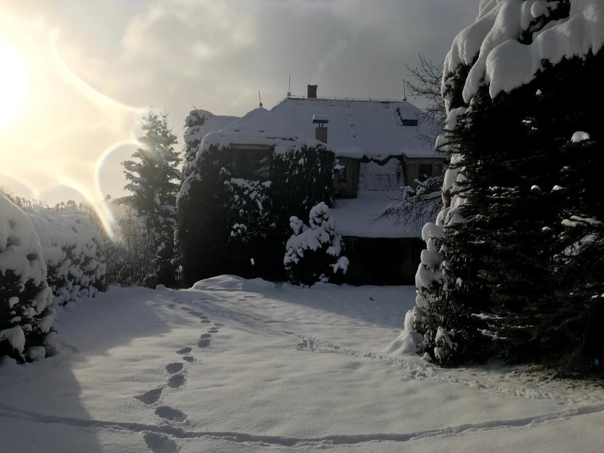 Apartman Rekys Jiretin pod Bukovou Exterior photo